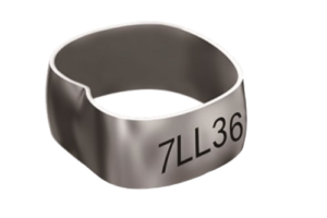 Inele Molar 2 UR,UL,LR,LL 4bucati/set