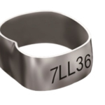 Inele Molar 2 UR,UL,LR,LL 4bucati/set